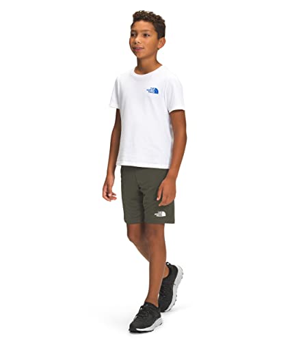 THE NORTH FACE Boy's Never Stop Training Shorts (Little Kids/Big Kids) New Taupe Green XS (6 Little Kid)