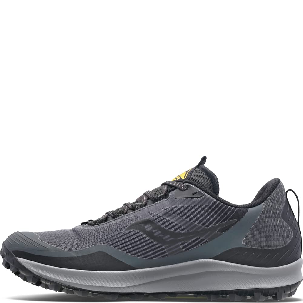 Saucony Men's Peregrine 12 Gore Tex Trail Running Shoe, Alloy/Quartz, 10