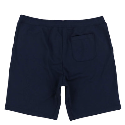 Polo Ralph Lauren Men's Athletic Shorts (Medium, Blue)