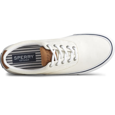 Sperry Striper II CVO Canvas Sw White 15 M (D)