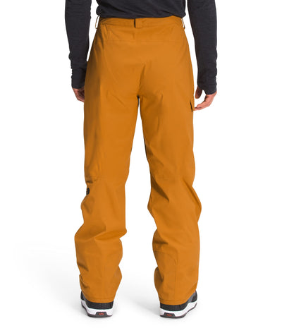 THE NORTH FACE Men's Freedom Pant, Citrine Yellow, Small Regular