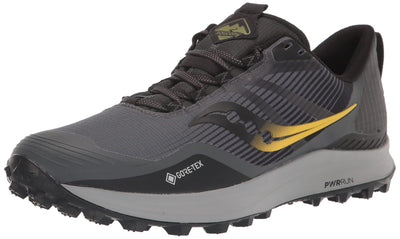 Saucony Men's Peregrine 12 Gore Tex Trail Running Shoe, Alloy/Quartz, 10