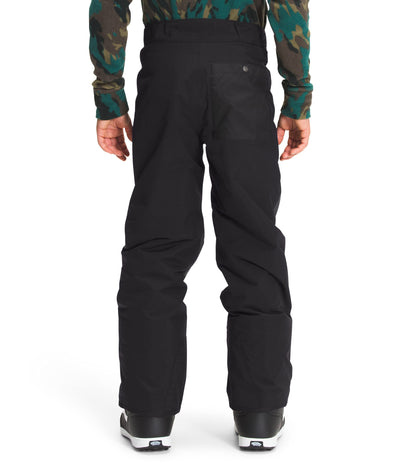 THE NORTH FACE Boys' Freedom Insulated Pant, TNF Black 1, X-Small