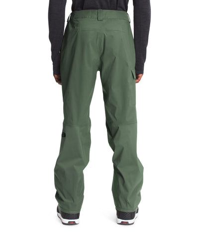 THE NORTH FACE Freedom Pant - Men's Thyme, S/Reg