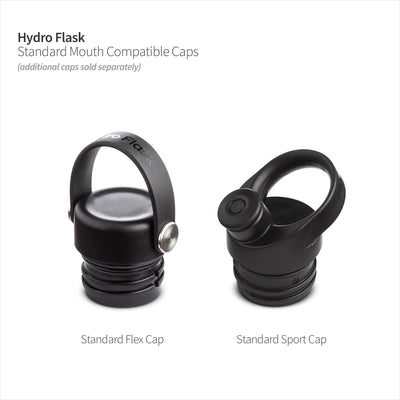 Hydro Flask Standard W Flex Cap Kiwi 21 Ounce, 1 EA