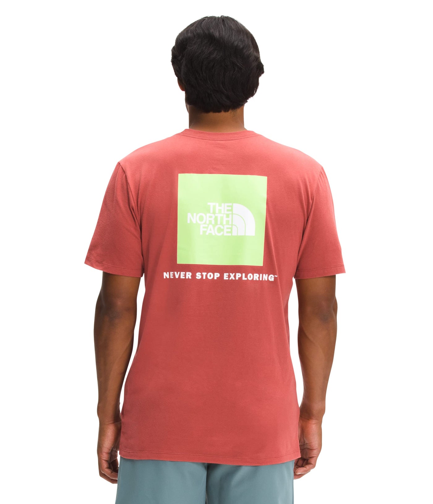 THE NORTH FACE Men's Short Sleeve Box NSE Tee, Tandoori Spice Red, X-Small