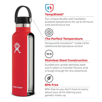 Hydro Flask Standard W Flex Cap Kiwi 21 Ounce, 1 EA