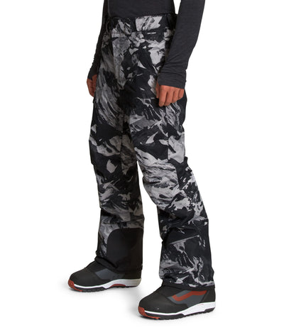 THE NORTH FACE Freedom Pant - Men's TNF Black Tonal Mountainscape Print Small Regular