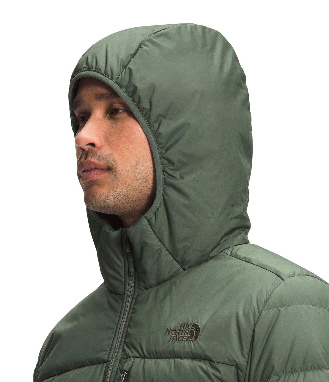 THE NORTH FACE Men's Aconcagua 2 Hoodie, Thyme, Medium